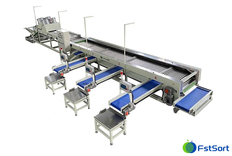 images/1672128158026cherry tomato processing line.jpg